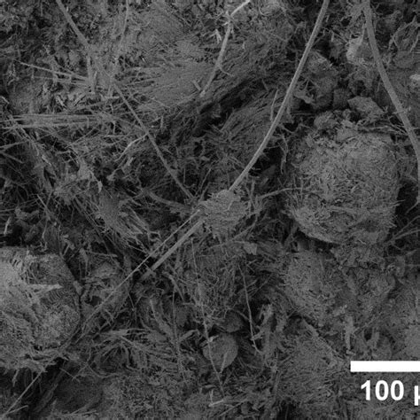 Figure S1 Low Magnification SEM Images Of Bulk TiS 3 A Magnification