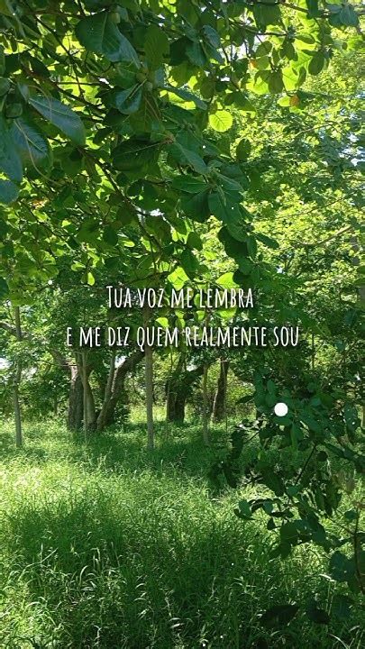 Meus Altos E Baixos Nunca Vão Medir O Meu Valor - Meus Altos E Baixos Nunca Vão Medir O Meu Valor. 🎶 ️ #boatarde # ...