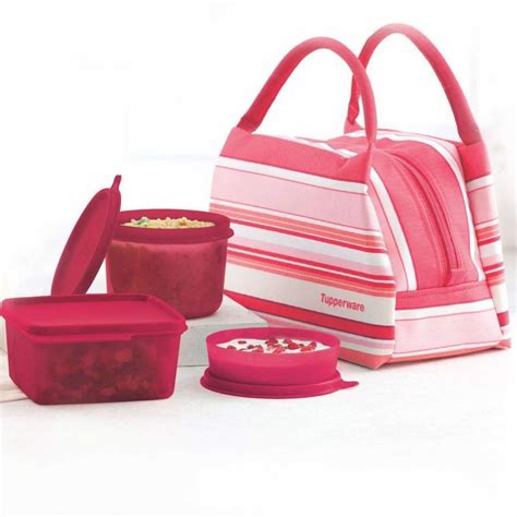 Tupperware Tupin Plastic Spring Surprise Lunch Set Pink At Rs 880