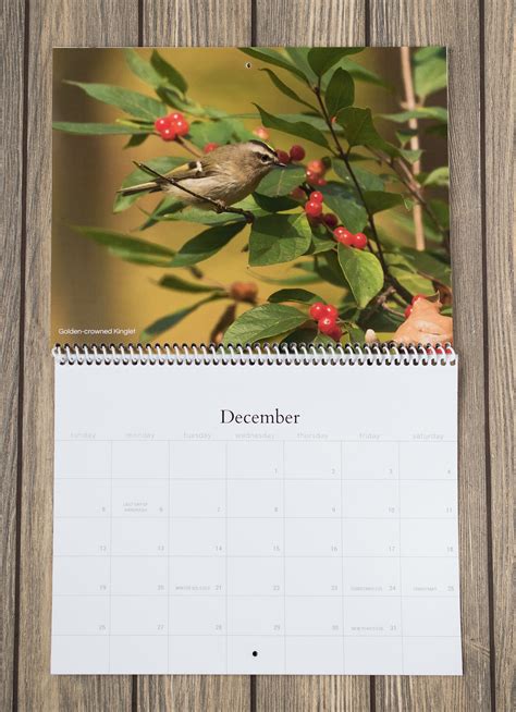 2021 Bird Wall Calendar Bird Calendar Songbird Calendar | Etsy