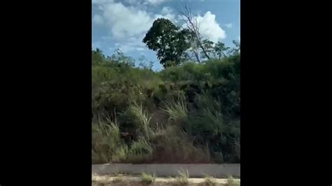 Bucetao Search XVIDEOS