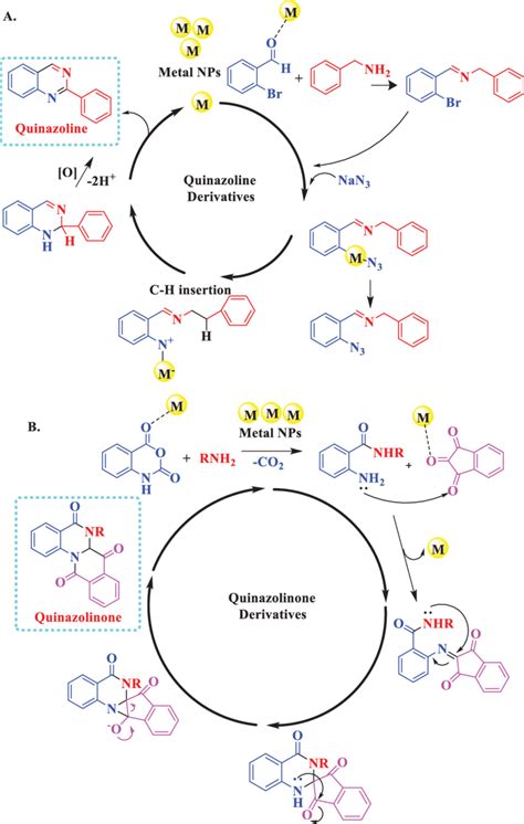 Plausible Mechanism For The Synthesis Of A Quinazoline B