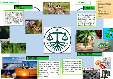 Arriba 65 Imagen Ecologia Humana Mapa Mental Abzlocal Mx