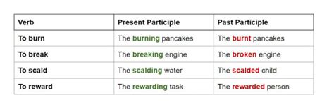 What are Past Participle Verbs? An Informational Wiki