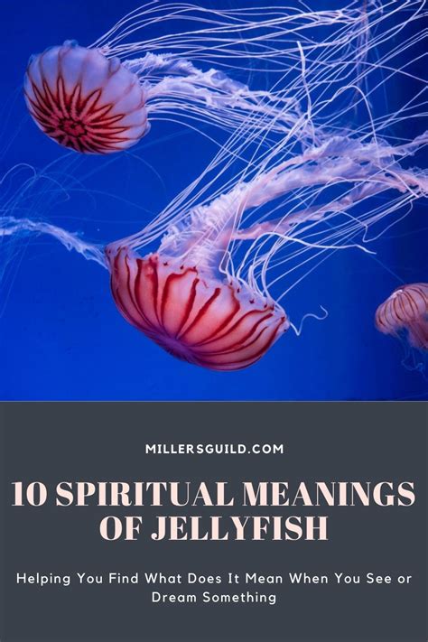 Spiritual Meanings Of Jellyfish