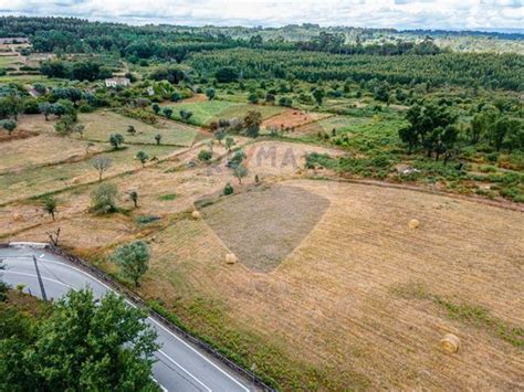 Terreno Venda Em Currelos Pap Zios E Sobral Carregal Do Sal Re Max