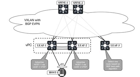 Cisco VPC In VXLAN EVPN Network Part 1 Anycast VTEP Daniels