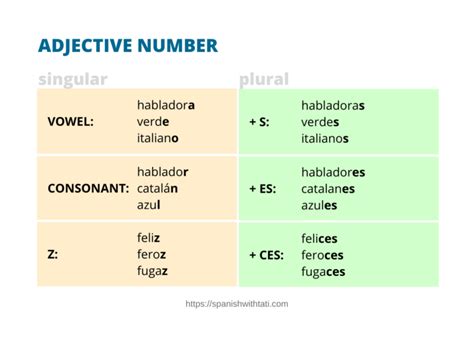 Spanish Adjective Agreement A Complete Guide Spanish With Tati