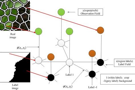 MRF structure: label field and observation field | Download Scientific ... 