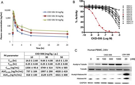 Enzyme Selectivity Of Ckd Pharmacokinetic Profile Of Ckd The