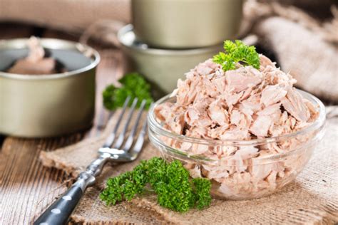 Atum Em Lata é Saudável Profissional Responde Womens Health