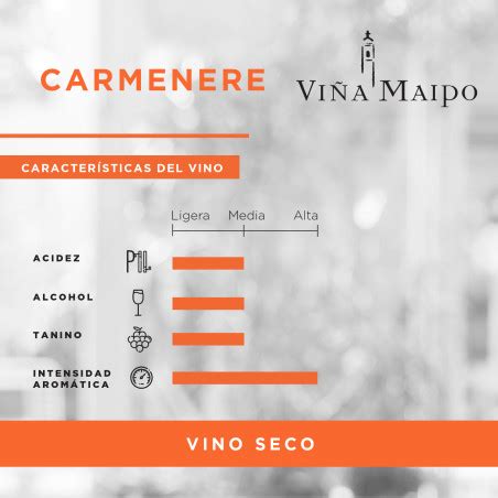 Vi A Maipo Carmenere De Ml Vino Tinto