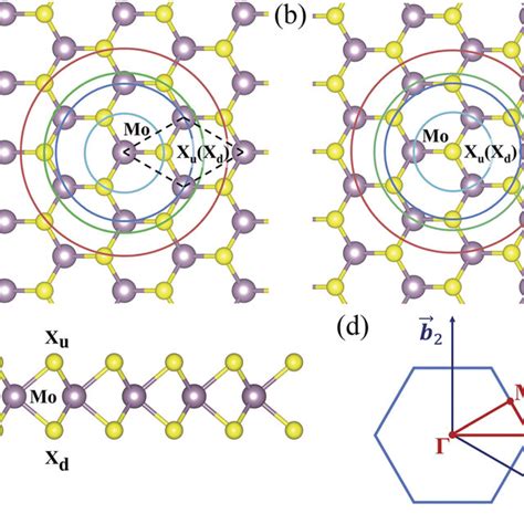 The Lattice Structure Of Monolayer MoX2 Purple Spheres Represent Mo