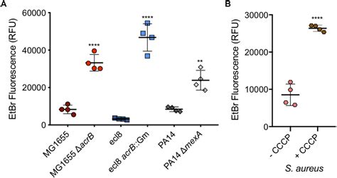 Frontiers Flow Cytometric Analysis Of Efflux By Dye Accumulation