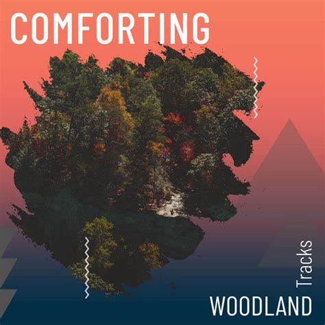 ZZz Comforting Woodland Tracks ZZz Album By Nature Sounds XLE Library