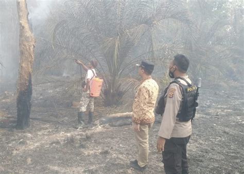 Warga Desa Karangan Demo Pt Pertamina Ini Tuntutannya