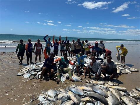 Pescadores Capturam 7 Toneladas De Peixes No Litoral Norte Do RN Rio