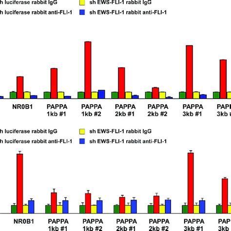 EWS FLI 1 Binds To The Pappalysin 1 Gene Promoter In Ewing Sarcoma