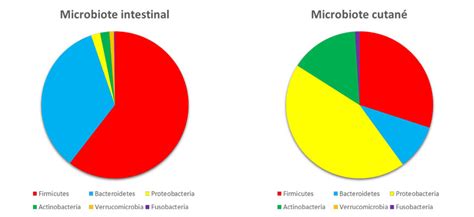 Les Microbiotes Humains Des Alliés Pour Notre Santé Encyclopédie De