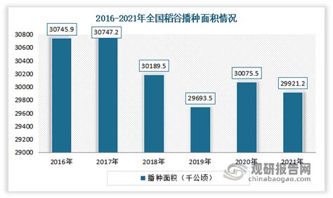 中国稻谷行业发展现状分析与投资前景研究报告（2022 2029年）观研报告网