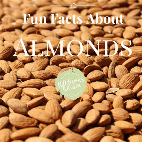 Balsamic Roasted Almonds Fun Facts About Almonds Chef Julie Harrington Rd