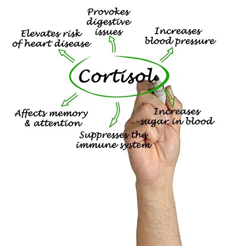 Foods That Lower Cortisol, Reduce Anxiety, and Relax Your Brain