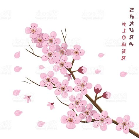 Sakura Blossom Drawing at PaintingValley.com | Explore collection of Sakura Blossom Drawing