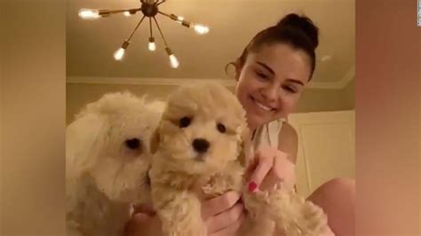 Selena And Miley Adopt Puppies While They Isolate At Home Cnn