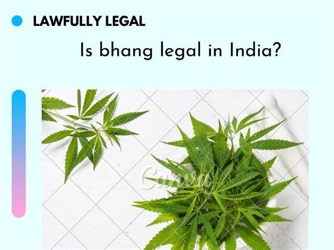 Is Watching Porn Legal In India Lawfully Legal
