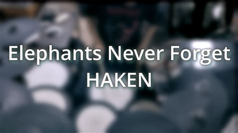 Elephants Never Forget Haken Drum Cover YouTube