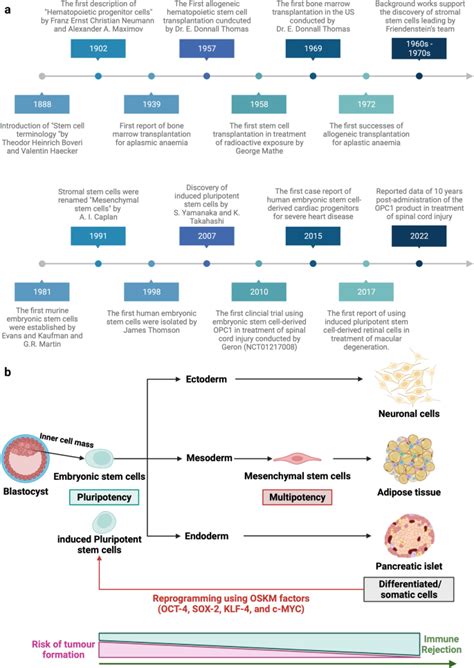 Signal Transduction And Targeted Therapy X Mol