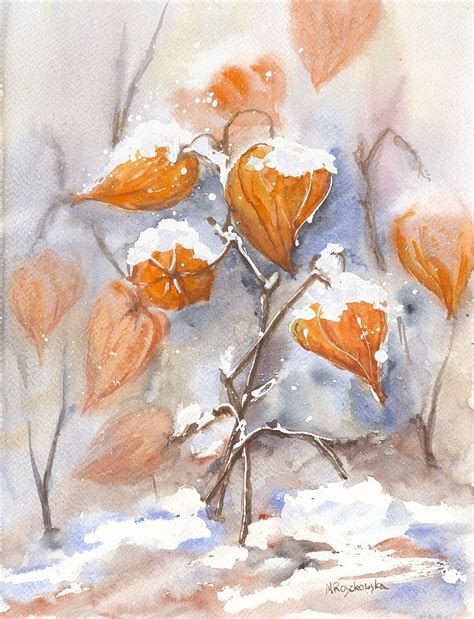 Miechunki W Zimowym Ogrodzie Maria Roszkowska Watercolor Acquerello