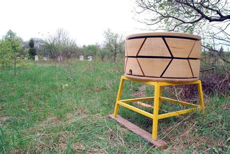 City Hive — Thendc Bee Hive Hives City