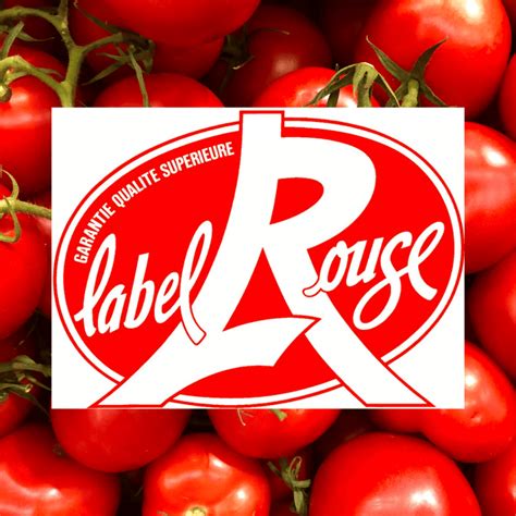 La première tomate Label Rouge officiellement lancée Le Lab