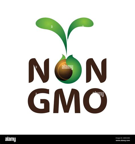 Non Gmo Organic Healthy Food Concept Vector Illustration Stock Vector