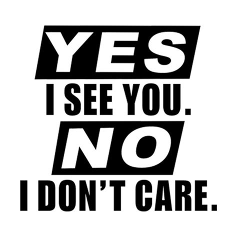 Yes I See You No I Dont Care Car Decal Vinyl Sticker 220 Shop