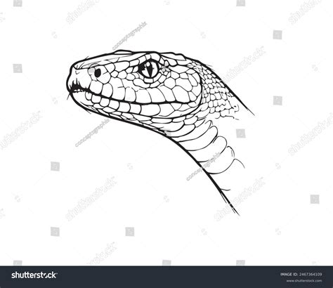 Black Lines Snake Vector Illustration Drawing Stock Vector (Royalty ...