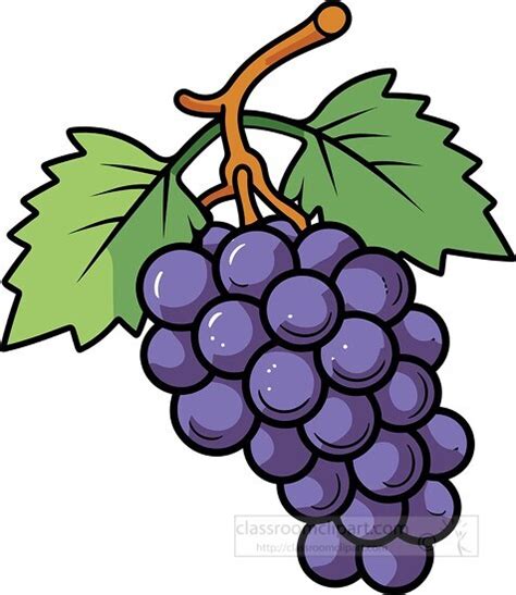 Grapes