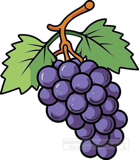 Fruit Clipart-purple grapes on stem clip art