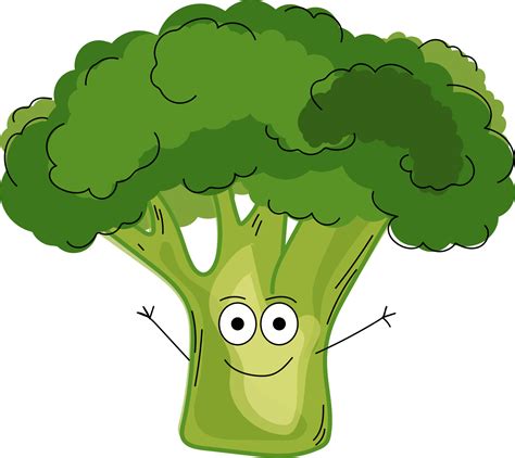 Broccoli PNG, Vegetable clipart, green plant, Cartoon Food, Fun ...