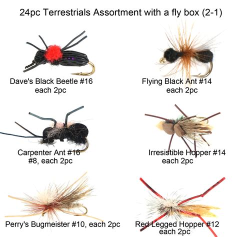 Buy Riverruns Best Assortment 12 Terrestrials Collection Total 24 Flies