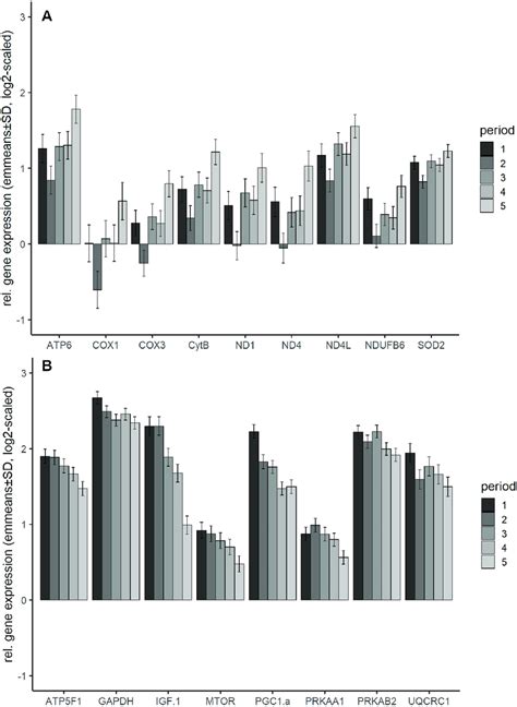 Relative Gene Expression Of Genes Influenced By Period A Increasing