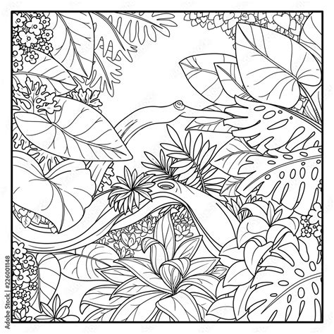 Jungle With Overgrown Lake Black Contour Line Drawing For Coloring On A White Background Stock