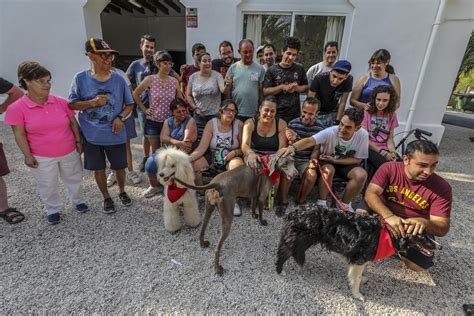 Terapia Perruna En Elche Que Da La Felicidad Informaci N