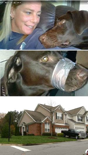 Woman Who Taped Dogs Mouth Shut Found Guilty Of Animal Cruelty