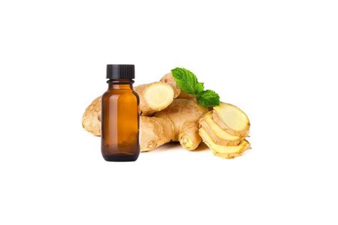 Ginger Essential Oil Vijay Impex