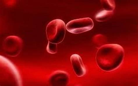 Elevated hemoglobin - Causes and actions to avoid | RBC-Ukraine