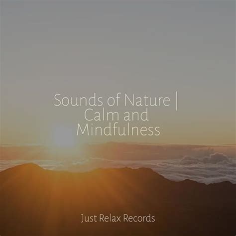 Sounds Of Nature Calm And Mindfulness By Sonido Del Bosque Y