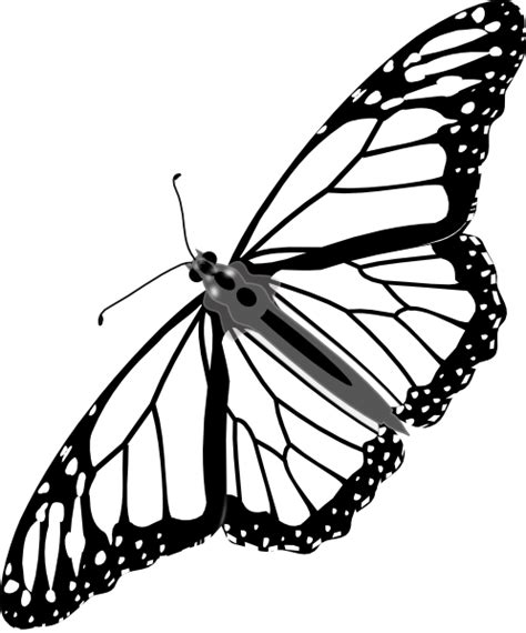 Monarch Butterfly Outline