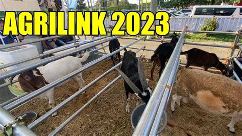 Agrilink 2023 Youtube